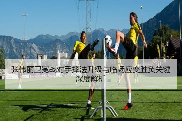 张伟丽卫冕战对手摔法升级与临场应变胜负关键深度解析